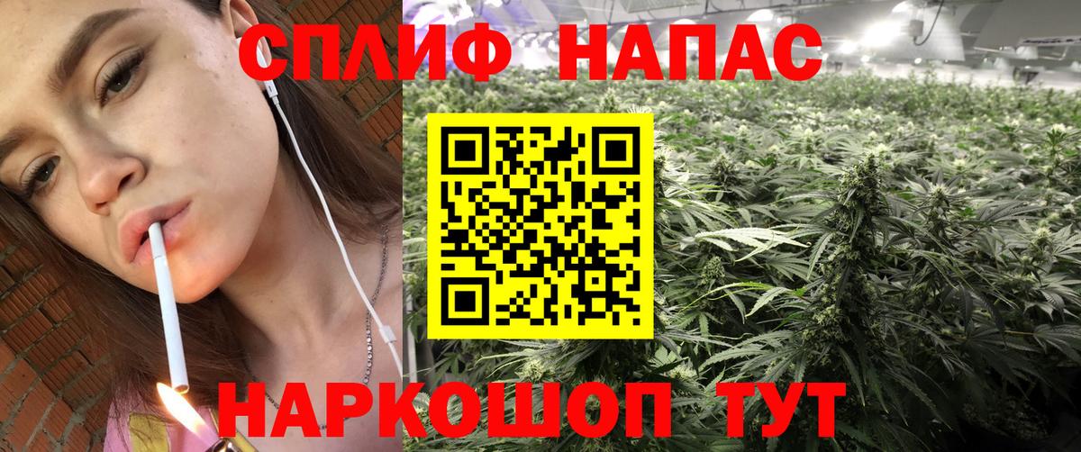 Бошки Шишки план Губкин